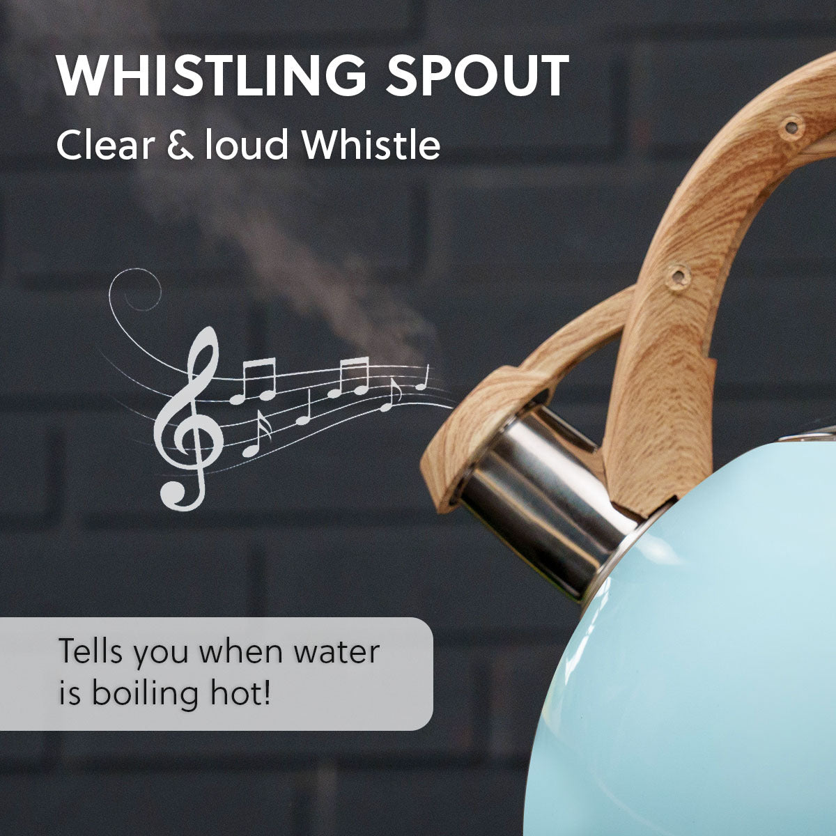 2.5 L Whistling Stainless Steel Teapot With Ergonomic Handle - Blue -- Price does not include VAT