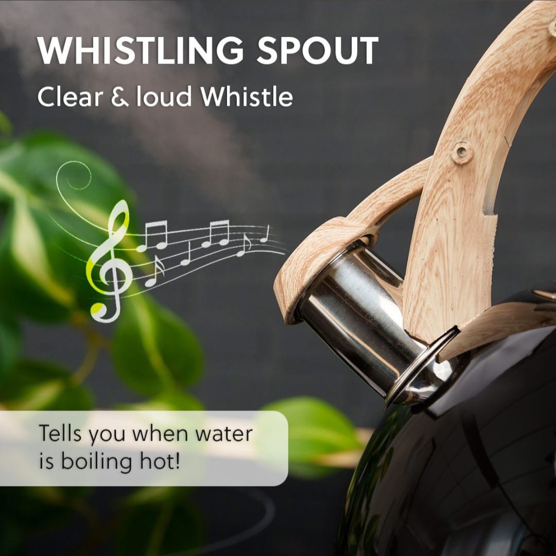 2.5 L Whistling Stainless Steel Zymta Teapot With Ergonomic Handle - Black -- Price Does Not Include VAT