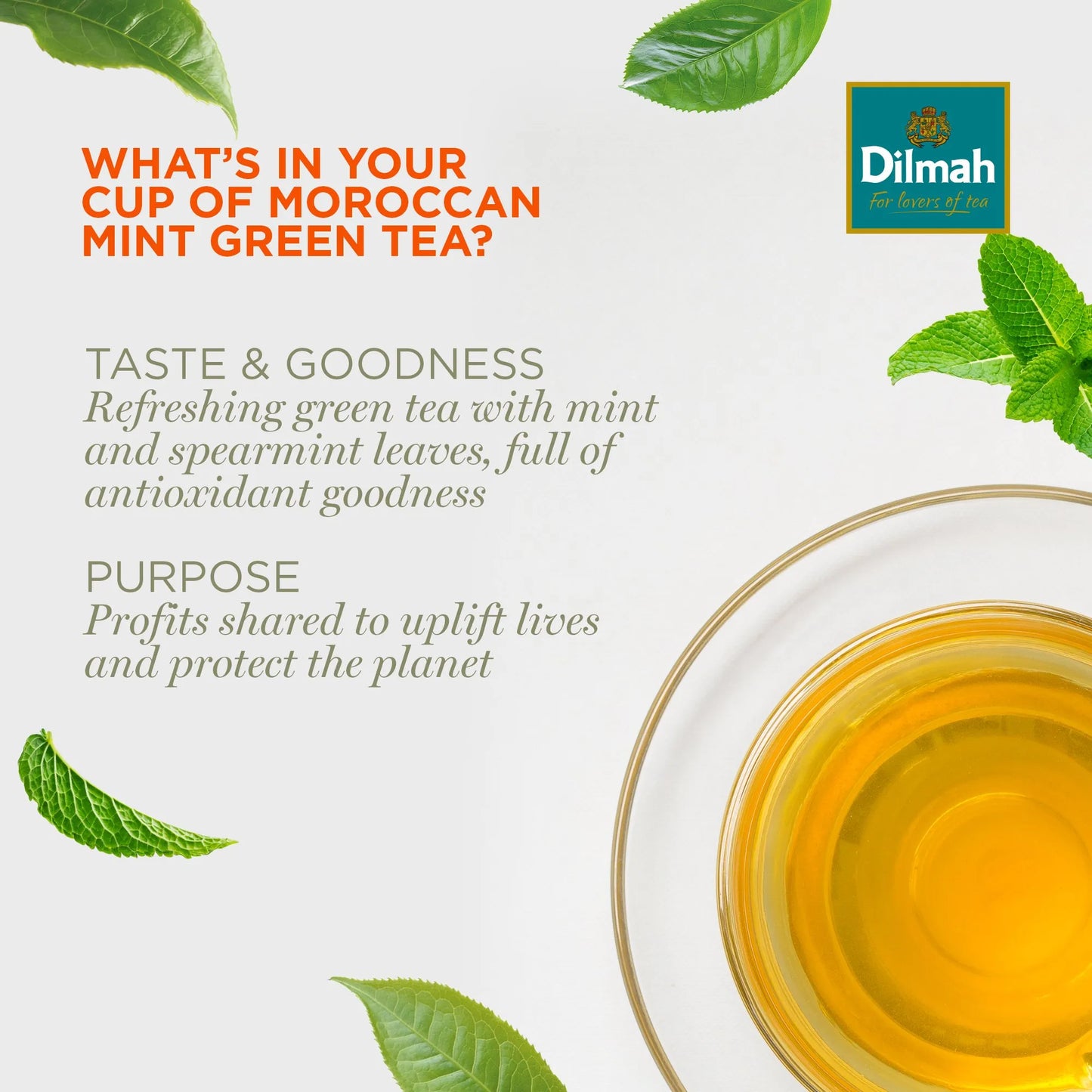Dilmah Moroccan Mint Green – Leaf Tea Foil (500g pack)